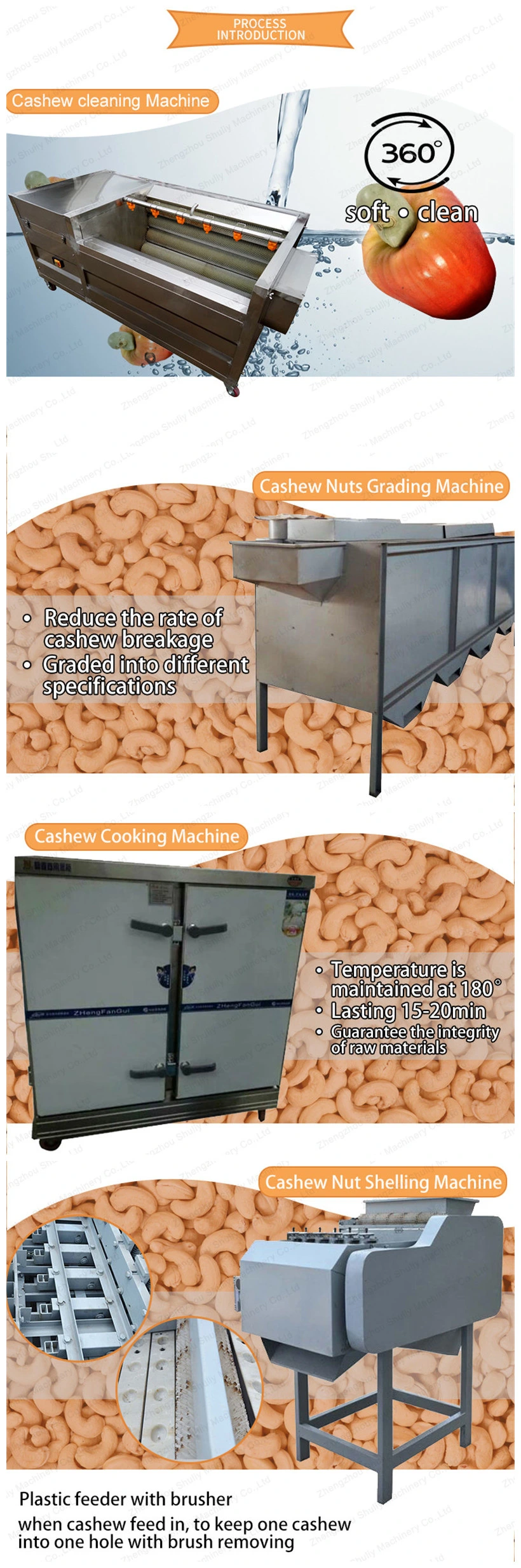 200kg Per Hour Cashew Nut Shelling Peeling Grading Machine for Hot Sale