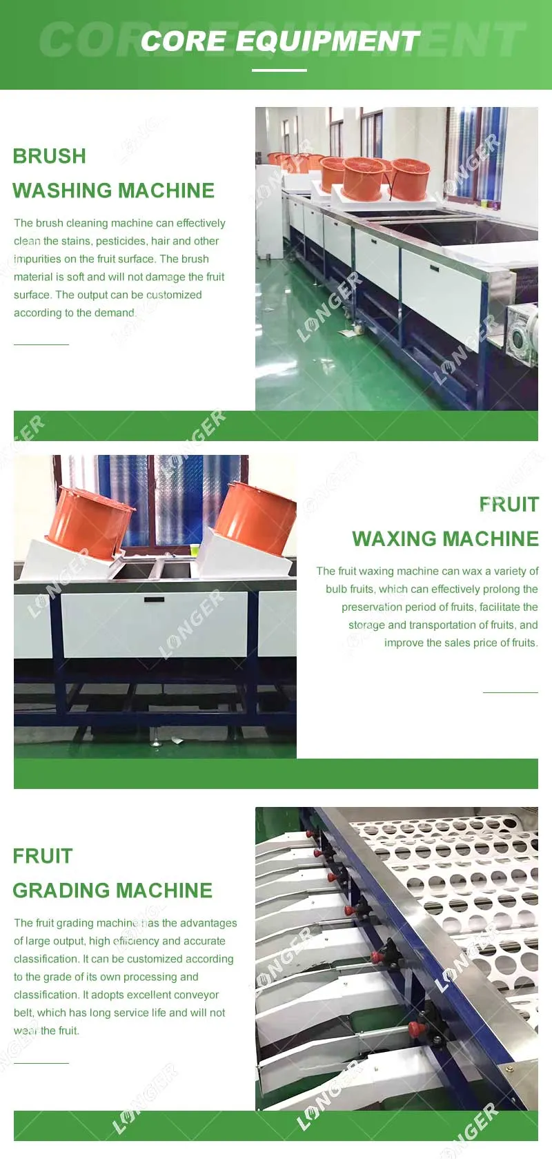 Commercial Apple Washing Sorting Machine Fruit Washing Sorting and Grading Machines