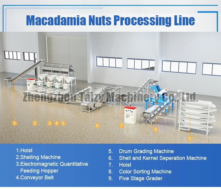 Macadamia Nut Cracker Machine Pistachio Nuts Cracking Machine