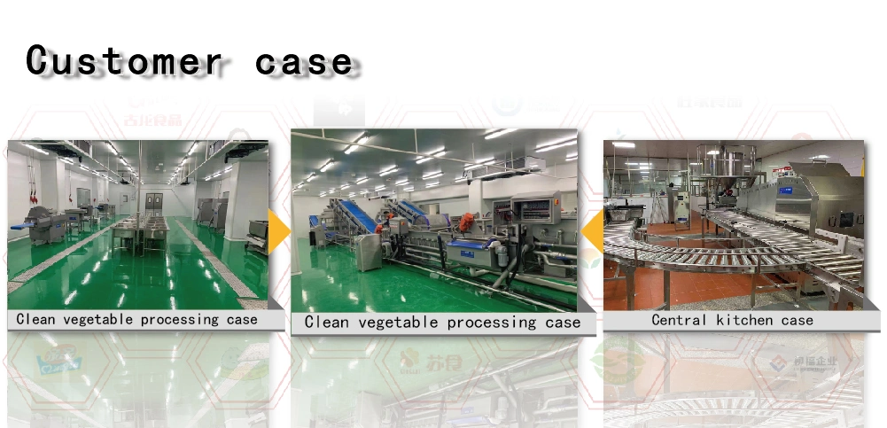 Can Cut Celery Chinese Cabbage Cabbage, Spinach Melon and Other Long Strips of Things Cut Into Slices Silk Granular Large Vegetable Cutting Machine