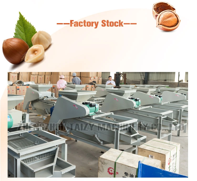 Commercial Walnut Nuts Breaker Pecan Almond Shelling Machine Hazelnut Cracking Machine