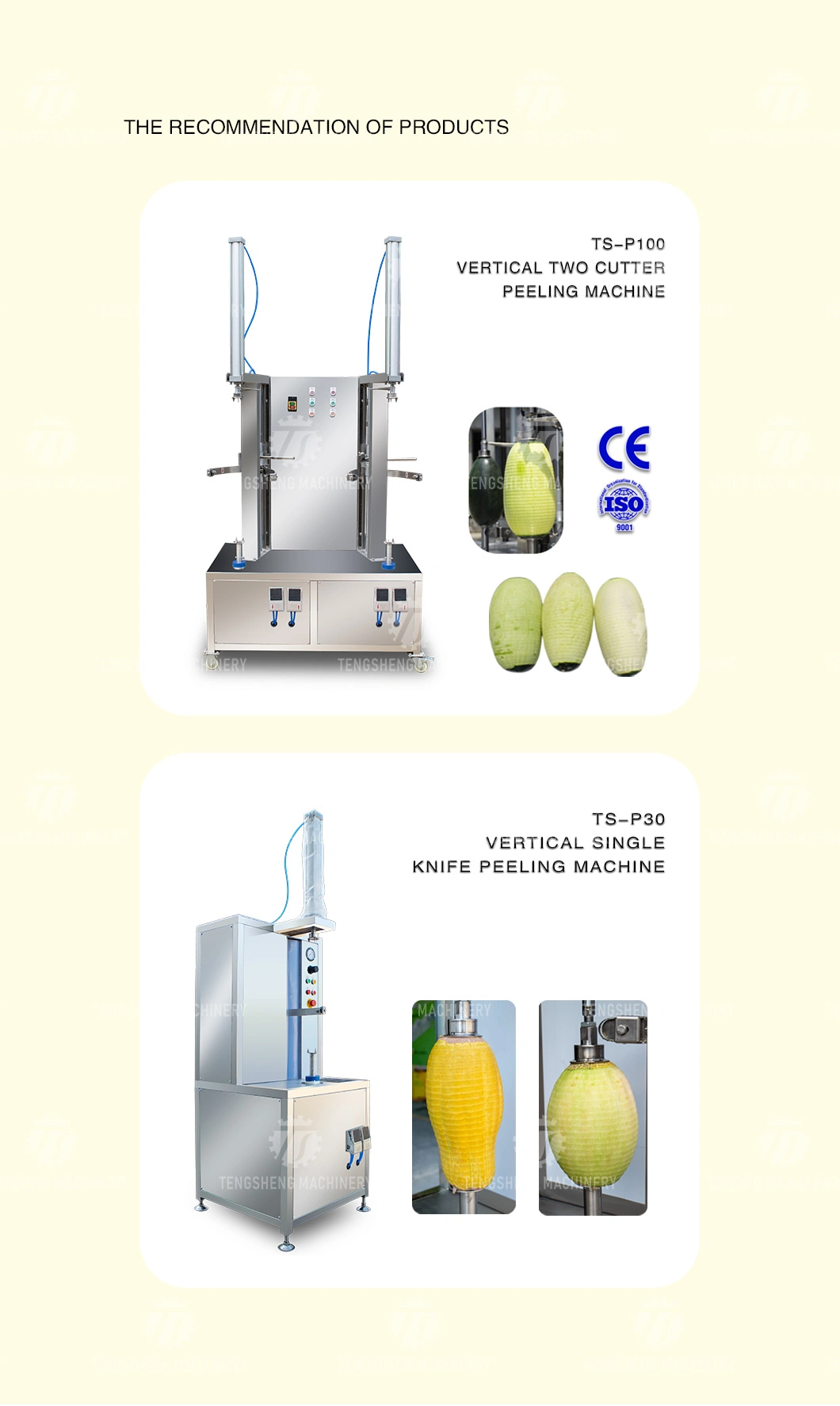 Vegetable and Fruit Peeling Machine Automatic Peeling Machine a