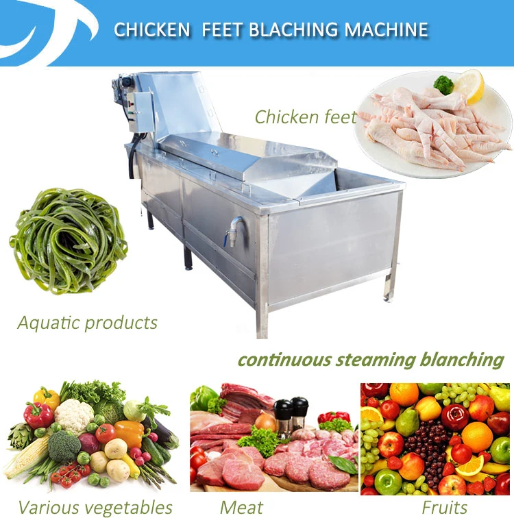 23 Fruit Blancher Industrial Water Boiling Peas Vegetable Peanut Blanching Machine