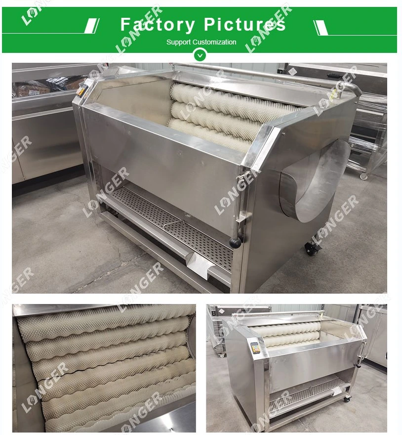 Automatic Vegetable Cassava Cleaning Peeling Seashells Fish Washer Machinery Fruit Lemon Carrot Brush Ginger Washing Machine